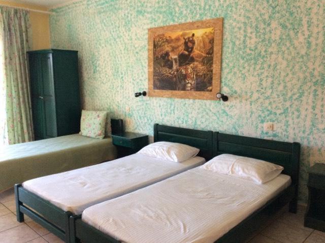 Hotel Nikos Victoria Città di Skiathos Esterno foto